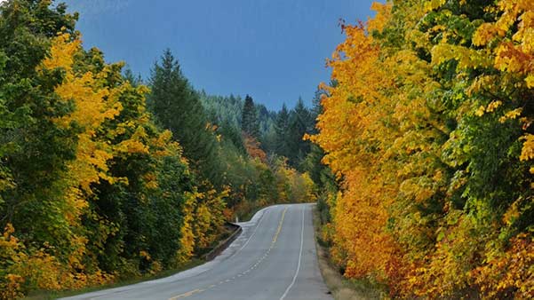 Fall Automotive Maintenance