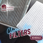 Clean Air Filters