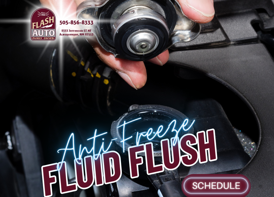 Flash Anti-Freeze Flush Service